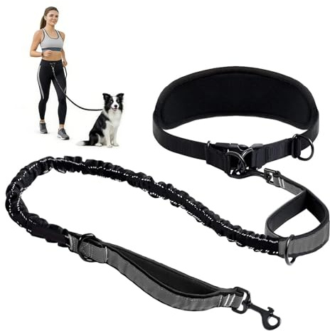 Guinzaglio da jogging per cani, guinzaglio da corsa per cani, per jogging, corsa, escursionismo, con cintura allargata, cuciture riflettenti, cintura da corsa per cani di grossa taglia fino a 50 kg