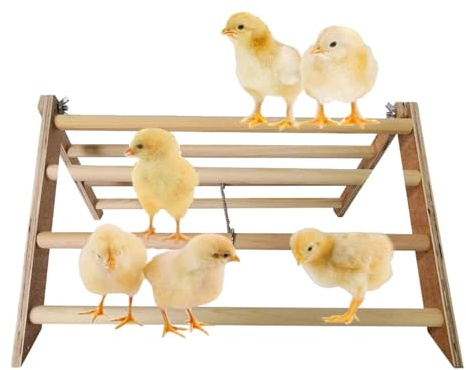 Barre de Suspension en Bois pour Poules – Cintre d'entraînement pour Poules, Fournitures de Support de Jouet en Bois pour Poules | Barre de Gymnastique Interactive en Bois pour Gymnase