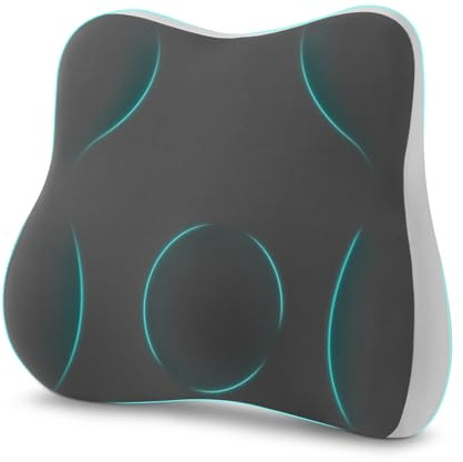 Havnxor Cojin Lumbar Coche Ergonómico, Cojín Lumbar de Espuma Viscoelástica, Almohada Lumbar Silla Oficina con Funda Lavable, Mejora Postura, Gris