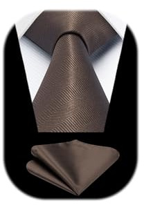 HISDERN Cravate Homme Marron Mariage Classique Cravates Et Pochettes Ensemble Couleur Unie Élégant Formelle Affaires Mouchoir