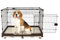FENNNDS Hundekäfig 99x62x75 cm mit 2 Türen Hundebox aus Metall mit Bodenschale Vielseitiger Transportkäfig mit stabilen Sicherheitsverschlüssen Tiertransportbox für Hunde und Katzen, Kaffee Farbe