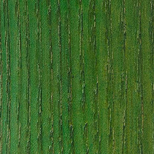 WooDeeDoo Water Based Wood Stain | Wood Dye | Ready to Use | Environmentally Friendly | Solvent Free | Odour Free | Tester Pot 10 ml | Green