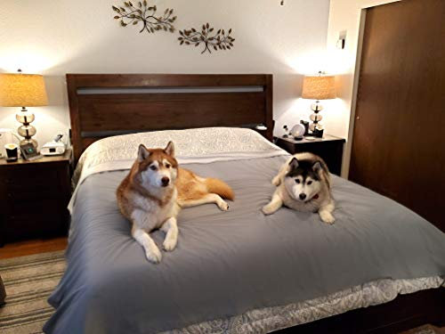 Wasserdichte Bettschutzauflage (doppel, 244 x 208 cm; grau) – Weiche, dünne und beidseitig verwendbare Decke für Hunde, Katzen, andere Haustiere; Inkontinenz, Urin, Schmutz, Tierhaare, Speichel
