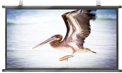 YUQIWKK Pantalla De Proyección Enrollable Manual, 30/40/50/60/72 Pulgadas HD 4K, Formatos 4:3, 16:9 De Techo y Pared, HD Extraíble, Cine en Casa, Escuela, Oficina, Color Blanco Mate(4:3,50)