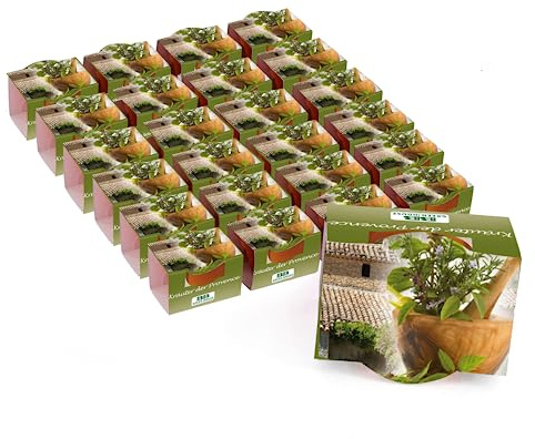 Bull & Bear 25er Set Mini Pflanzset Kräuter der Provence im Topf 4,5cm, Provence Kräutersamen als Anzuchtset mit Pflegeanleitung