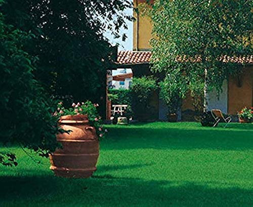 Semi per PRATO OMBREGGIATO - Sementi - 1 Kg per circa 40 metri quadri