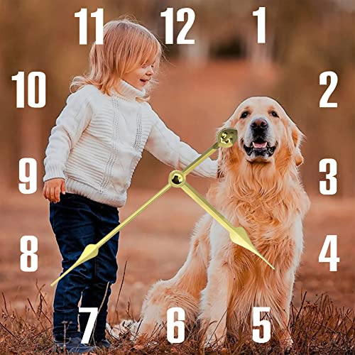 S&H&OU Reloj De Pared Personalizado, Relojes De Pared con Foto para DecoracióN para Sala De Estar, Reloj De Pared Silencioso para NiñOs, Reloj De Tiempo para Colgar En La Pared con Foto Personalizada