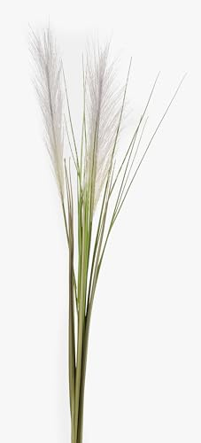 artplants.de Konstgräs Pampasgräs ASES, tofsar, stödpinne, grönt, 95 cm