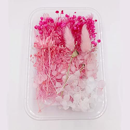 YiYFiT Fiori secchi naturali, 8 tipi di fiori secchi reali Foglie di bouquet artigianali fai da te Materiali decorazioni di fiori secchi per la fabbricazione di candele artigianali in resina (rosa)