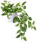 SOGUYI Fausse Plante avec Pot 38cm Plante Artificielle Interieur Exterieur de Plantes Artificielles en Plastique Très Réalistes pour Salon Appartement Salle de Bain Cuisine Balcon(1 Stück)