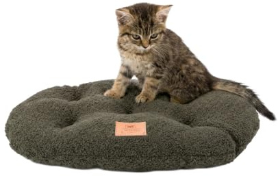 Ferplast Cojín Cama para Perros pequeños, Cama para Gatos, Tejido sintético bouclé Lavable, Acolchado Suave, 43 x 30 x 3 cm (Alto). Verde.