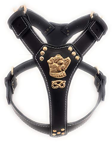 M&D - Arnés de Piel para Perro (tamaño Grande), diseño de Cabeza de Bullterrier de Staffordshire Bullterrier y Nudo