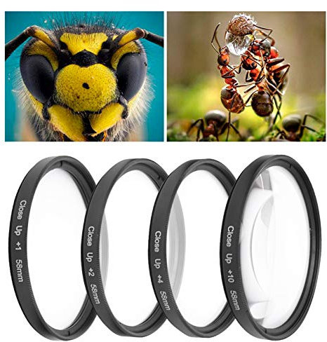 Tbest OT Lente Macro de Conversión Universal HD Wide, Lente Macro de 58 Mm Vidrio óptico Macro Close Up +1 +2 +4 +10 Kit de Filtro de Lente 58Mm para Cámaras Canon Nikon Sony