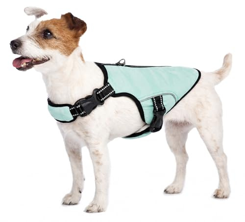 Gilet de Refroidissement pour Chien,Veste de Refroidissement pour Chien en Maille Respirante Réglable Manteau d'été pour Chien Manteau de Glace Chiens(Vert, S)