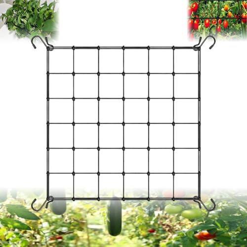 Gxlaihly Red elástica para Plantas,Red Trepadora de Plantas 120x120 cm,Red Elástica para Plantas Trepadoras,Red de Enrejado elástico,Red elástica con 4 Ganchos Red para Plantas,Verduras,Frutas,Flores