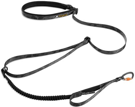 OllyDog Flagstaff Adjustable Spring Leash, Shock Absorbing, Bungee Dog Leash with Carabiner, Hand-Held or Waist-Worn Lead, Convenient for Running, Biking, and Hiking (Dream Camo)