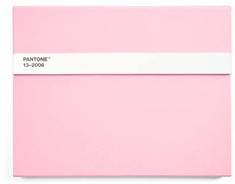 Pantone Notizbuch unliniert, mit Stift und Lineal, 160 Seiten, Außenbemaßung LxBxT 240 x 190 x 20 mm, Light Pink 13-2006