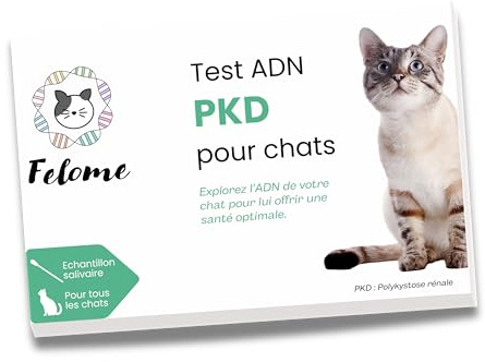 Felome Test ADN PKD pour Chats – Test de Polykystose Rénale pour Votre Chat – Résultats en 2 semaines - Possible Mise à Niveau en Bilan Génétique - Test de santé Chatons et Chats