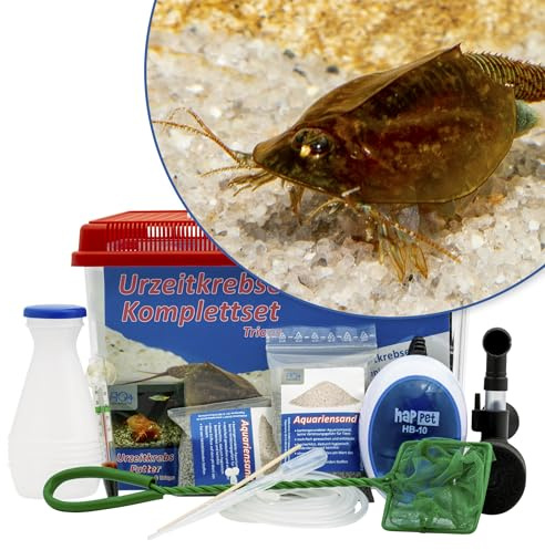 Triops cancriformis Komplettset 6 l, Urzeitkrebs-Eier, Futter und Filter