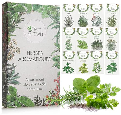 Kit de graines d‘Herbes aromatiques prêt à Pousser OwnGrown, 12 épices et aromates à Planter en Un kit Pratique, Naturelles pour Culture intérieure et extérieure