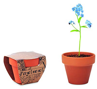 noTrash2003 Set di 3 piante per la coltivazione di fiori, girasoli, nontiscordardime, papaveri in terracotta vasino con substrato di coltivazione (blu)