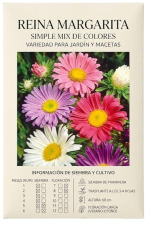 Cultiva Flores Ornamentales con Semillas de Margarita Reina para Jardín y Balcón | Jardinería Fácil DECOALIVE