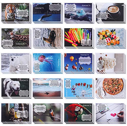 Zonon 60 Pieces Postcard Wild Animal Bird Seasonal Landscapes Funny Postcards 20 Designs Postcards for Teacher Thank You Note Cards, 4 x 6 Inches(Fun Facts)