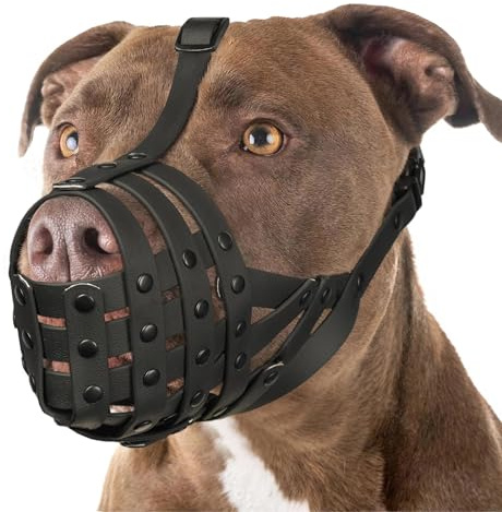 Mayerzon Pitbull Muzzle for Large Medium Sized Dogs to Prevent Biting Scavenging, Basket Muzzle for Rottweiler Staffordshire Terrier in Grooming Training, Allow to Pant Drink, Lightweight and Sturdy