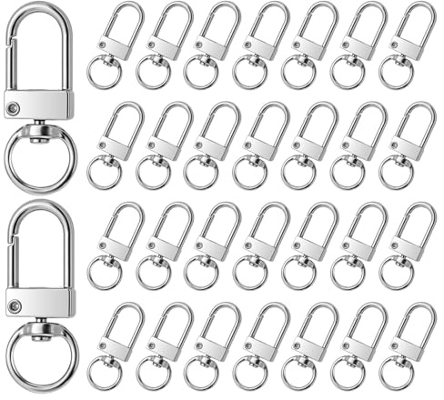 JJUNW Mosquetón con articulación giratoria, 30 unidades, cierre de garra, mosquetón giratorio para bolso de mano, llavero, joyas (plata)