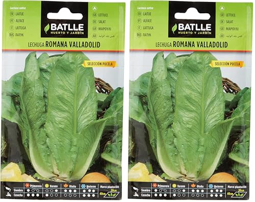 Semillas Batlle Lechuga VALLADOLID S. PUZELA (Paquete de 2)