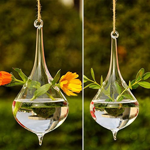 RXMORI 2 Fioriere in Vetro Sospese per Piante, Contenitori in Vetro Sospesi Corda a Goccia, Vaso per Piante Ad Aria, Fioriere Succulente