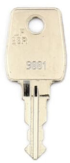 Euro-Locks Clés de rechange | Numéros de fermeture de 9001 à 9500 | Clés supplémentaires pour boîtes aux lettres, cylindres universels, serrures de meubles | haute résistance aux matériaux