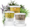 Bath & Body Scrub Bundle | 3 Pack Exfoliator Body Scrub 200g each - Sea Salt Tea Tree & Lemon, Oatmeal and Turmeric Sugar | Softens & Smoothens Your Skin by Sinta Gifts