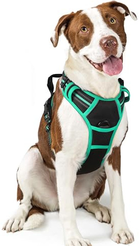 rabbitgoo Arnes Perro Grande, Arnes Perro Antitirones Coche con Lineas Reflecantes, Chaleco Perro Acolchado Ajustable Transpirable con Asa y Anillos para Adiesreamiento Tamaño L, Negro y Menta Verde