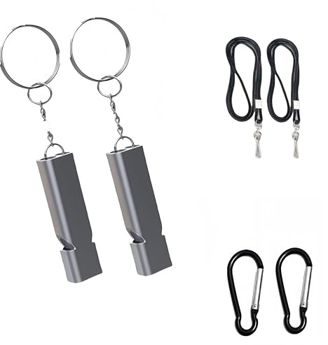 Rhomba Lot de 2 sifflets d'urgence en acier inoxydable - Double tubes - Avec cordon porte-clés - Pour l'école, le camping, la chasse, le sport, la gym, l'entraînement de chien (A-2 argenté)