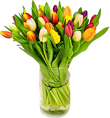 Tulip Selection Hand-Tied Bouquet, Fresh Flower Arrangement, Gift for Mother's Day, UK Delivery