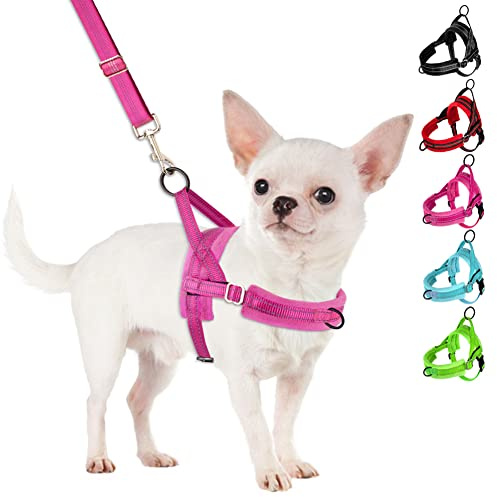 SlowTon No Pull Small Dog Harness and Leash Set with Front Clip