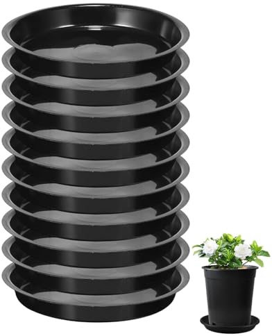 WINXMIN 10Pcs Sottovasi Rotondi 16cm, Sottovaso Nero in Plastica per Piante da Esterno Interno, Sottovasi Piattini Vassoio Bonsai, Orchidee, Fiori da Giardino