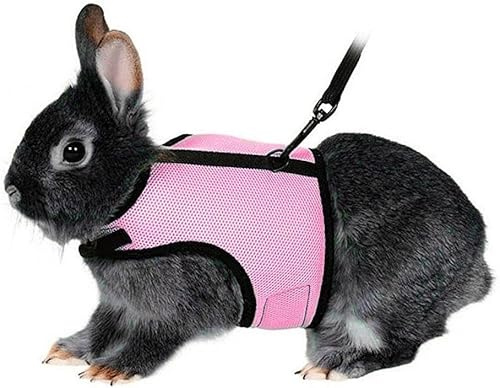 Kanin kattunge sele kattkoppel för små djur justerbar mjuk sele och blyset för kanin katt litet husdjur promenad, L:Chest(7.87-12.6), Rosa