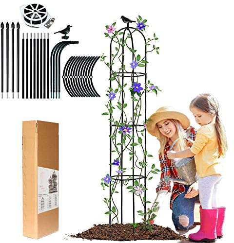 LIBRNTY Obélisque de jardin pour roses,2022 Birdhead Obélisque de Jardin Amélioré,Support pour Plantes grimpantes,GHrimpantes en acier,support de fleurs en métal noir pour plantes grimpantes(146CM)