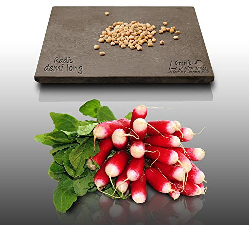 100 graines à semer - Le Grenier d'Abondance - RADIS Demi-long de 18 jours - Radix