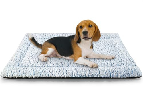 Aspand Tapis Chien Court en Peluche pour Chiens de Moyen Taille, Matelas Chien, 94 x 61 cm, Bleu