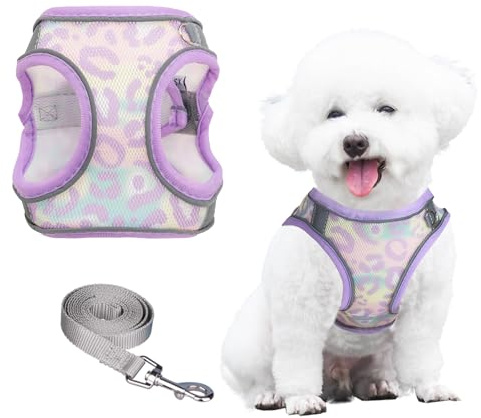 PawSailor Extra Kleines Hundegeschirr Mit Leine, Step-In Air Mesh Blumendruck, Kein Ziehen, Weste, Verstellbar, Reflektierend, Weich Gepolstert, Ausbruchsicher, Haustiergeschirr, Lavendel, XXXS