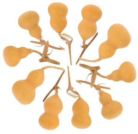 Mikikit Mini Zucche Ornamentali 10 Pezzi Naturali Leggere 4-6 CM per Decorazioni Casa e Artigianato di Zucca Stile Casuale