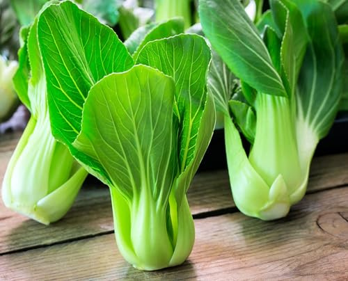 RAISE ME UP: Seeds Chinese Cabbage Bok Choy Non GMO Heirloom