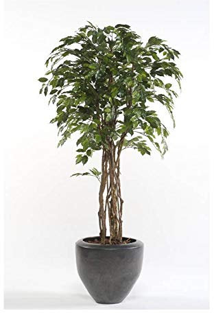 artplants.de Fake Ficus Benjamina CARLOH, real stems, green, 6ft/170cm - Artificial weeping fig tree/Faux ficus tree