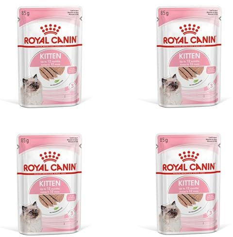 ROYAL CANIN Kitten Mousse in Soße | 4er Pack | 4 x 12 x 85 g | Nassfutter für Katzen | Speziell für Katzenwelpen in der zweiten Wachstumsphase bis zum 12. Monat | Weiche Textur