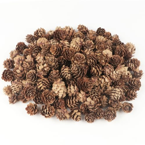 TaoQ C 120 PCS Pine Cones Decorations, Natural Pine Cones Bulk - Mini Pine Cones Christmas Pine Cones for Table Christmas Tree Crafts Gifts Thanksgiving Fall and Xmas Home Decor