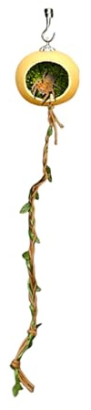 Acunny Accessoires pour Terrarium D'Araignées Sauteuses,Abri pour Araignées Sauteuses | Accessoires De Maison Cachette pour Terrariums, Décor D'Abri pour Habitat, Destiné Aux Petits Reptiles, Geckos
