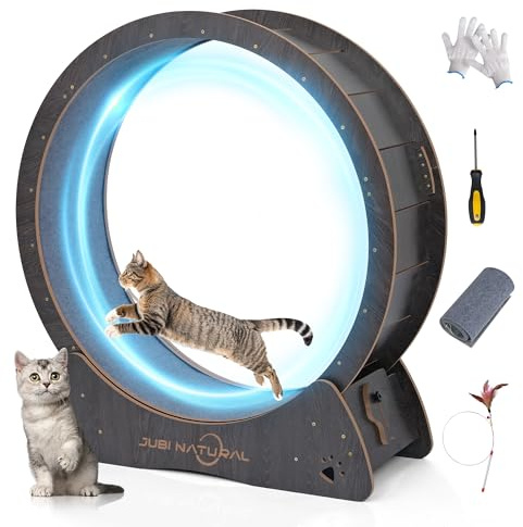 Cat Exercise Wheel, 43 Cat Running Wheel for Indoor Cats with Quiet Carpeted Runway, Cats Treadmill Wheels with Locking Mechanism, Cat's Weight Loss and Health - Black